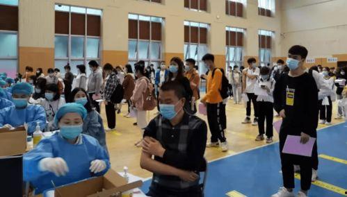 淮阳新闻爆料最新消息视频,视频揭示惊人事件详情